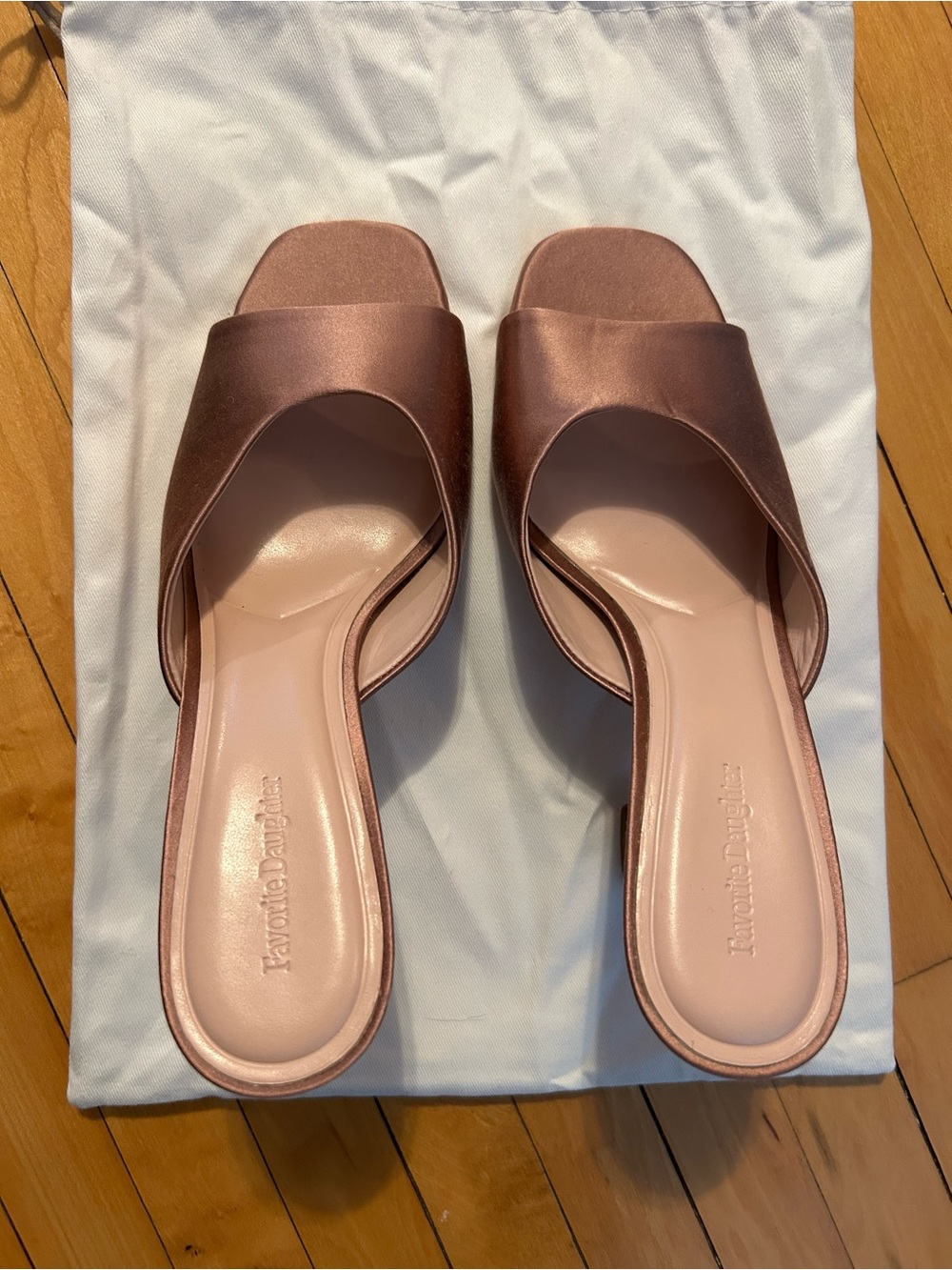 NWOB Favorite Daughter Katherine heels